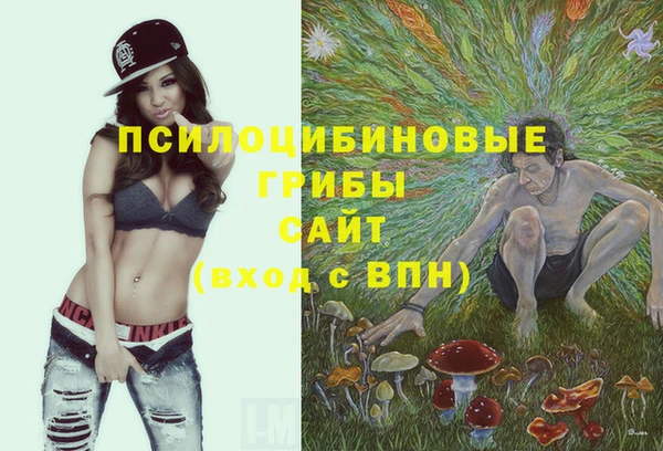 стафф Баксан